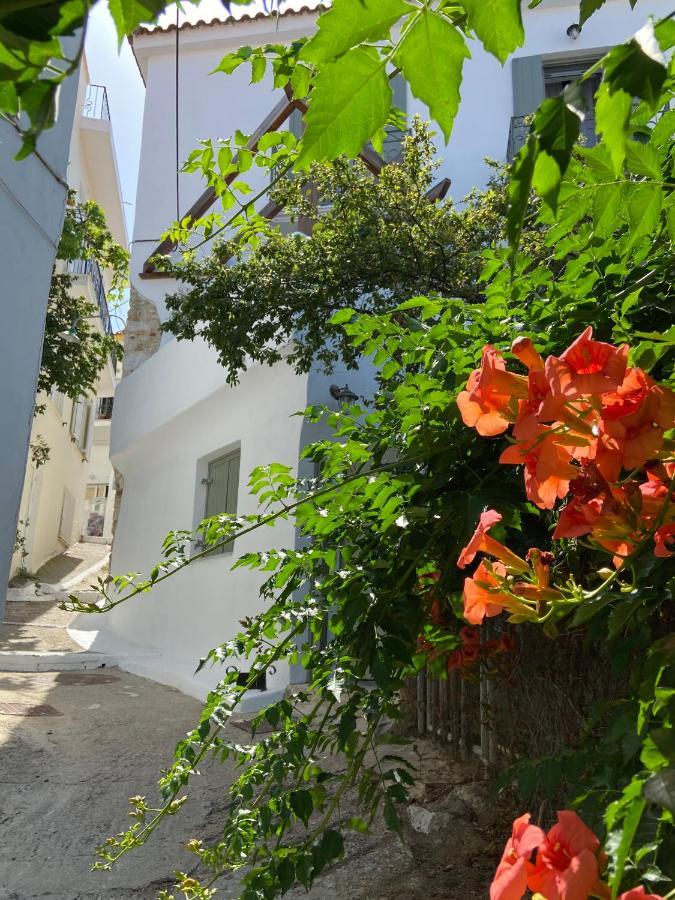 Raphael Skiathos Living-Olga Exterior photo