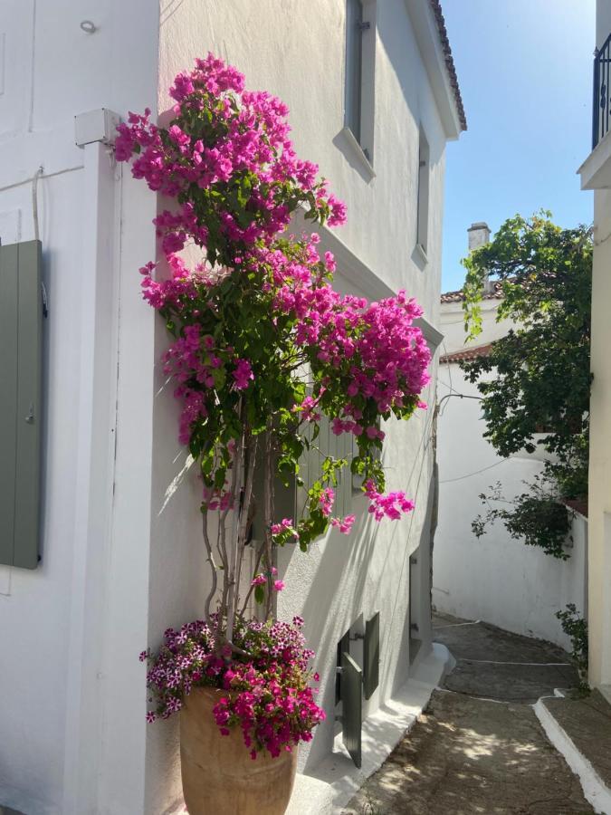 Raphael Skiathos Living-Olga Exterior photo
