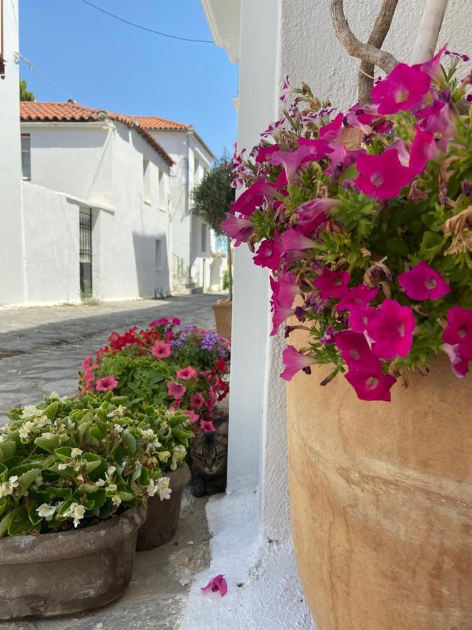 Raphael Skiathos Living-Olga Exterior photo